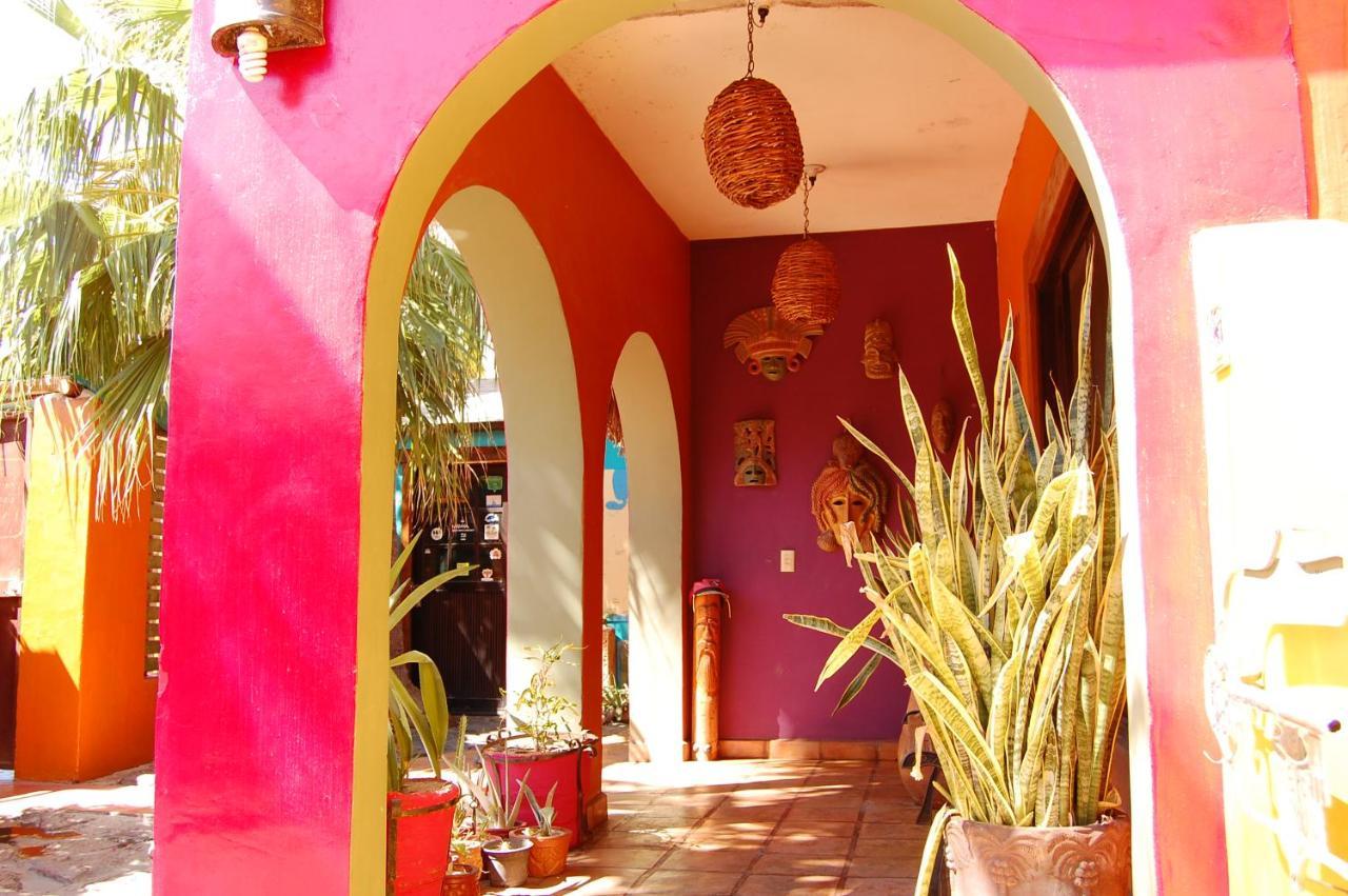 Hotel Leo's Baja Oasis La Paz Exterior foto