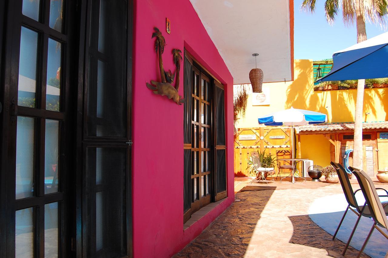Hotel Leo's Baja Oasis La Paz Exterior foto